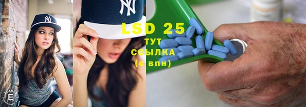 прущие грибы Абинск