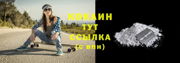 прущие грибы Абинск