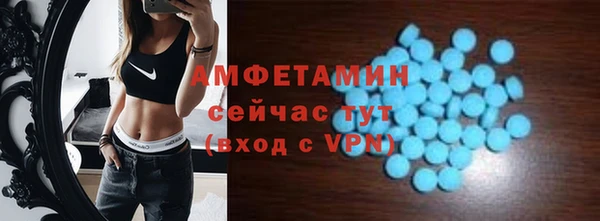 прущие грибы Пересвет