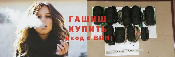прущие грибы Абинск