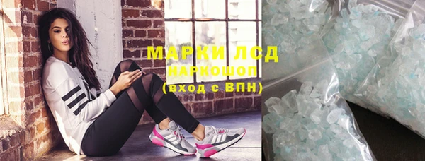 прущие грибы Абинск