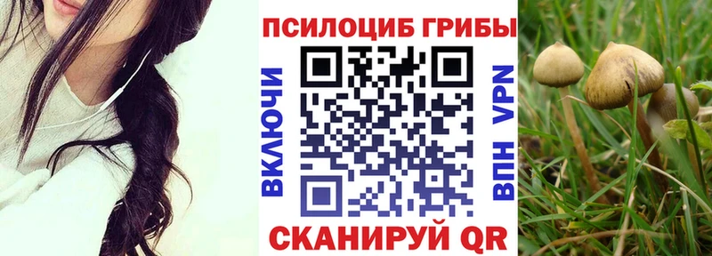 Псилоцибиновые грибы GOLDEN TEACHER  Саранск 