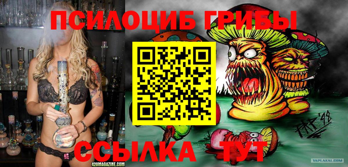 Псилоцибиновые грибы Psilocybe  сколько стоит  Саранск  Галлюциногенные грибы Magic Shrooms  Вход с VPN 